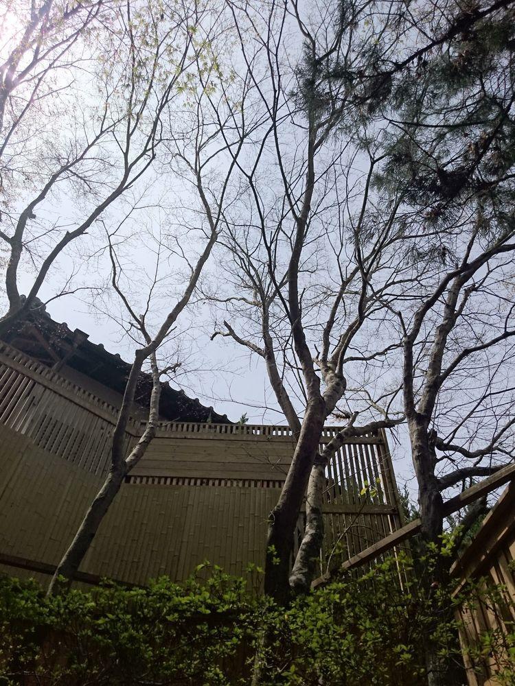 La Maison De David Jufu Kültér fotó